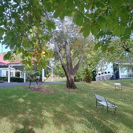 Moore Park Inn Armidale Luaran gambar